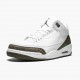 PK God Shoes Air Jordan 3 Retro Mocha White/Chrome/Dark Mocha 136064-122