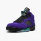 PK God Shoes Air Jordan 5 Retro Alternate Grape Grape Ice/Black Clear New Emer 136027-500